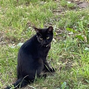 Meet your Posher, Shelbi